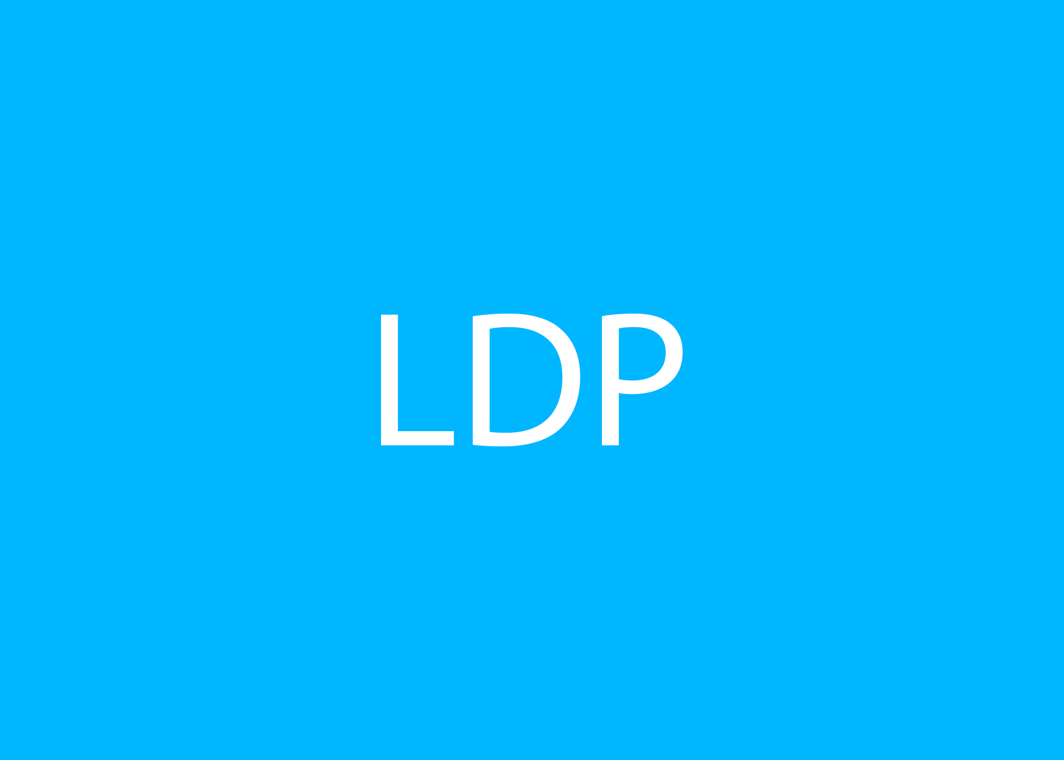 Read more about the article LDP Features